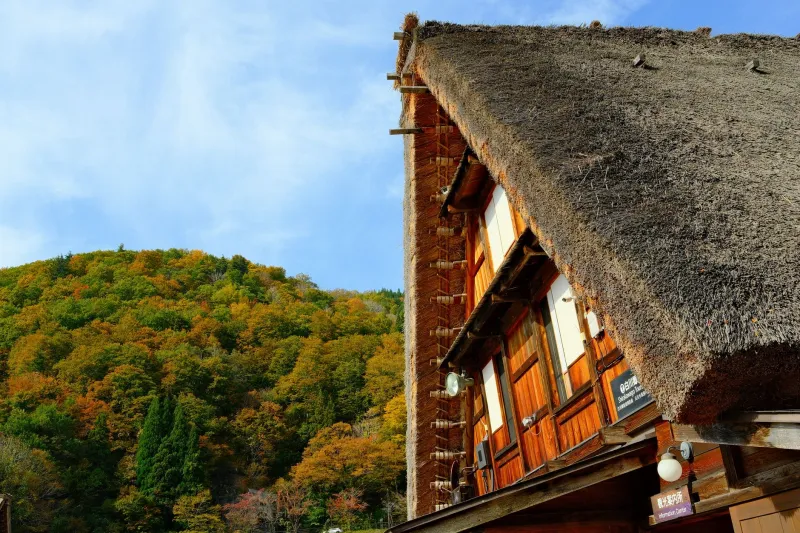 Off the Beaten Onsen: A Region-by-Region Ganbanyoku Roadmap for Travelers Who Hate Crowds