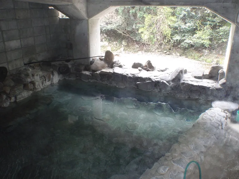 Alone and Completely Fine: The Solo Female Traveler's Real Guide to Ganbanyoku in Japan